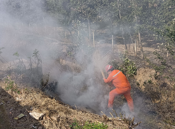 mmexport1745909857296_副本.jpg mmexport1745909857296_副本.jpg